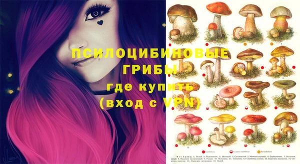 соль курить ск Алексин