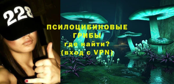 spice Алзамай