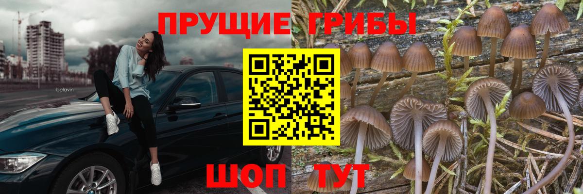 Кинешма  Псилоцибиновые грибы мицелий  продажа наркотиков  Вход с VPN 